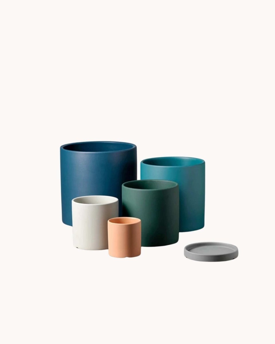 Bea Homes - Soft Hues Indoor Plant Pot with Saucer Set - Perfect for a Bright and Airy Space - Bea Homes